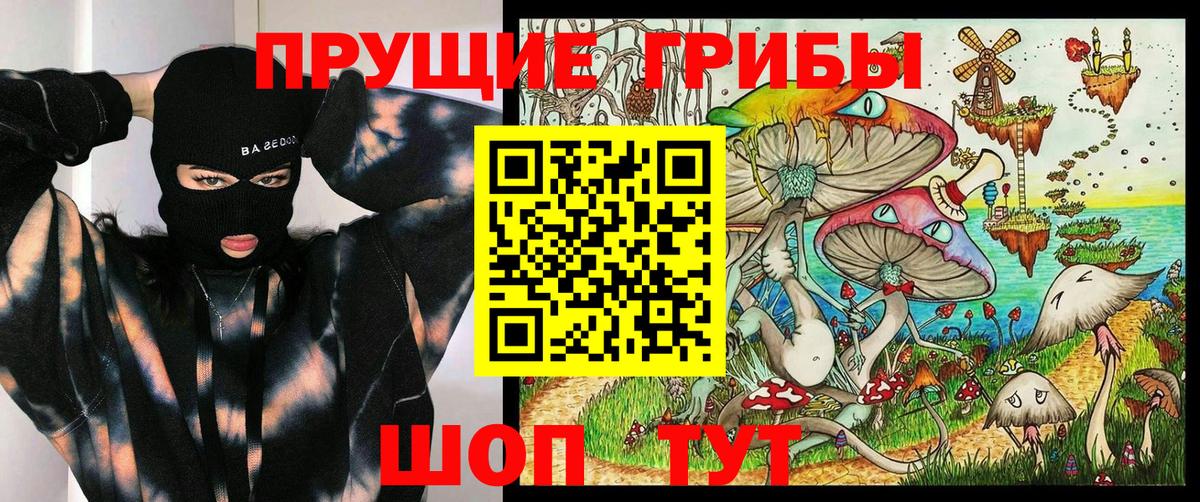 Нижний Тагил  Псилоцибиновые грибы GOLDEN TEACHER  Вход с VPN  Галлюциногенные грибы Magic Shrooms 